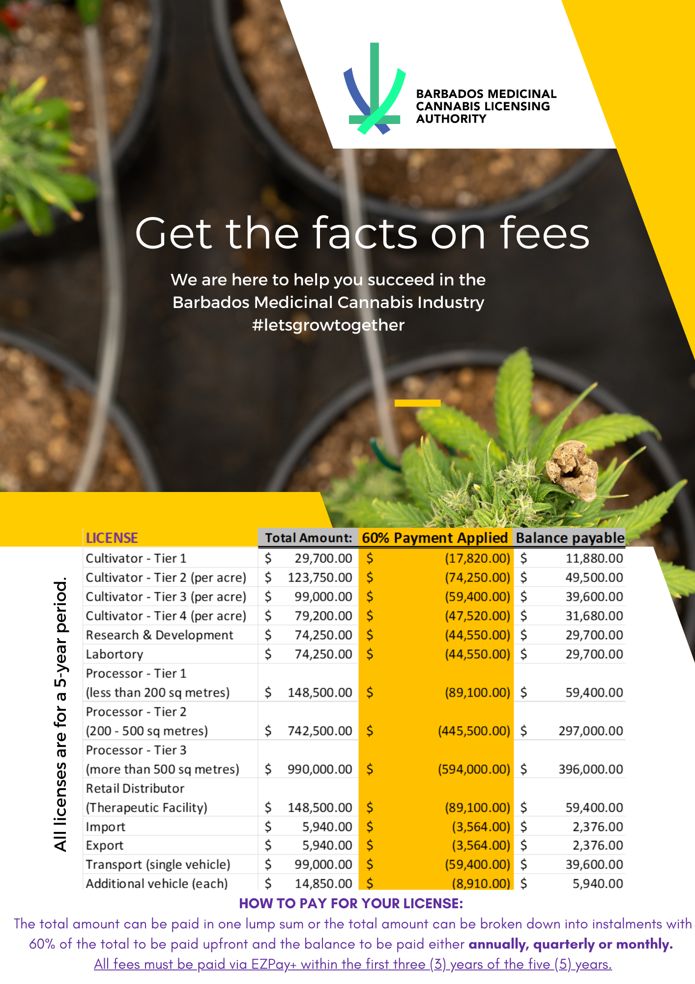 Get the Facts on our Fees
